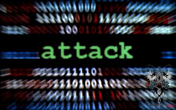 白宫收到请愿书 要求 DDoS 合法化