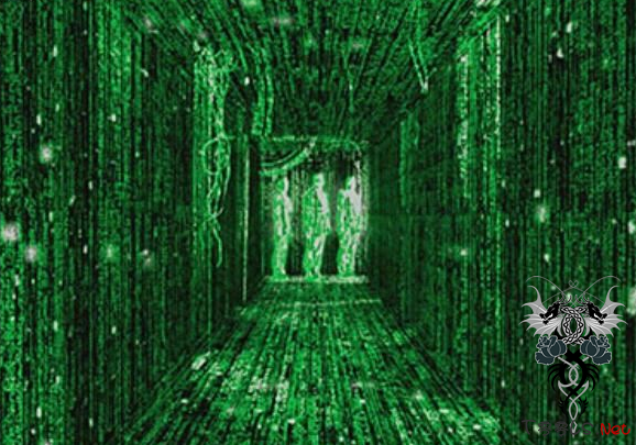 美“网络部队”将扩编至6000人