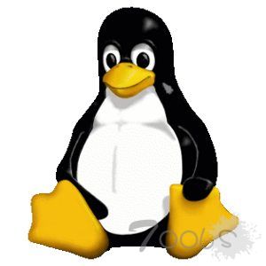 Linux 内核曝出 RDS 漏洞 影响 Red Hat , Ubuntu , Debiand 与 SuSE