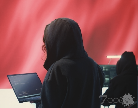 中国最大的安全公司 Nounsec 遭到黑客攻击